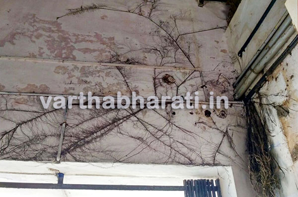 ತಾಲೂಕು ಕಚೇರಿ ಮೊಗಸಾಲೆ ಗೋಡೆಯಲ್ಲಿ ಆಕರ್ಷಕ ಚಿತ್ತಾರ !